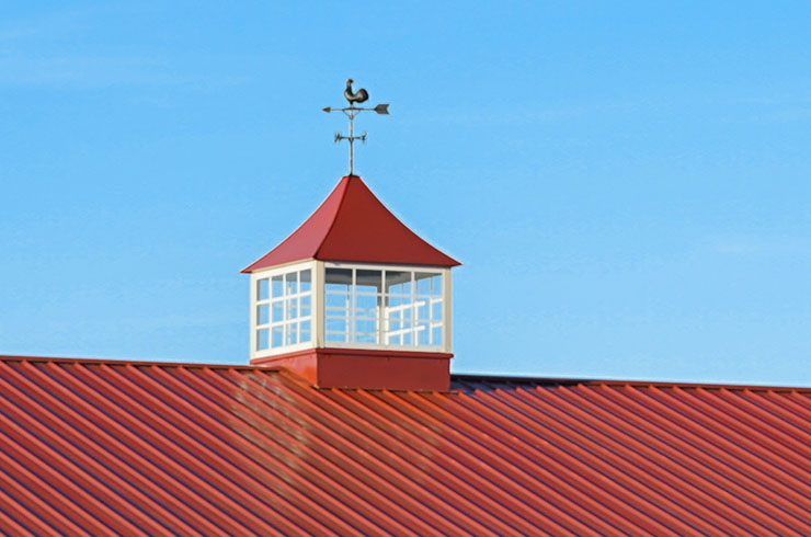 Cupolas Burrows